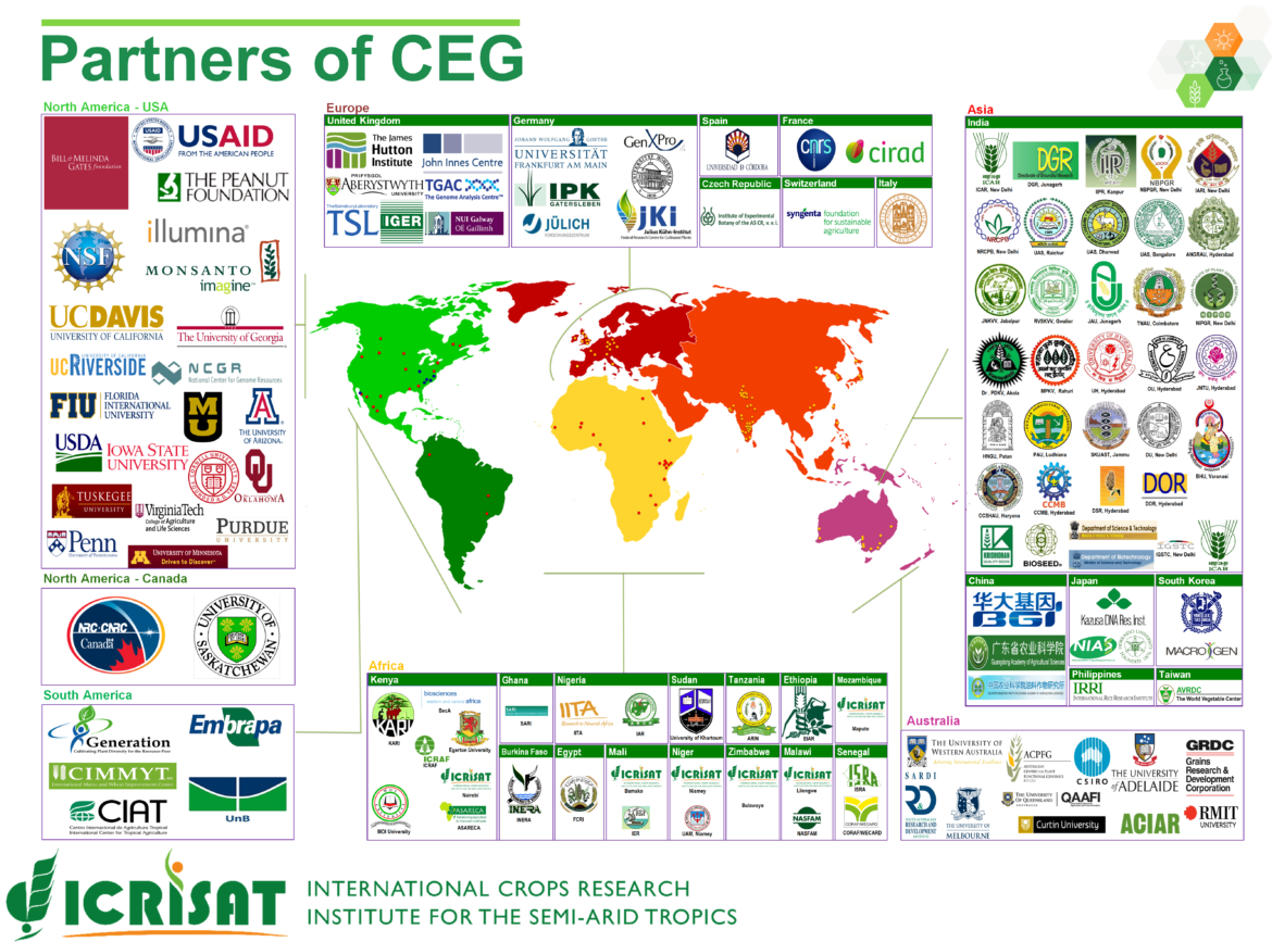 CEG-Partner-Collaborators.png