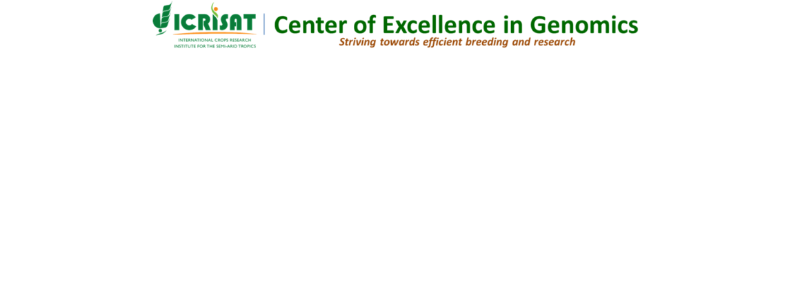 CEG_header_1.png