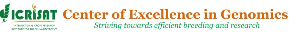 Header-Logo_Revised-4.jpg