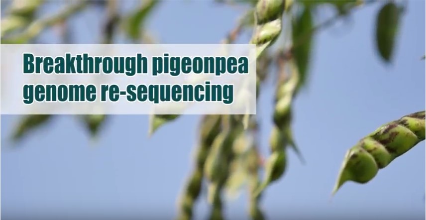Genome-Re-Seq.jpg
