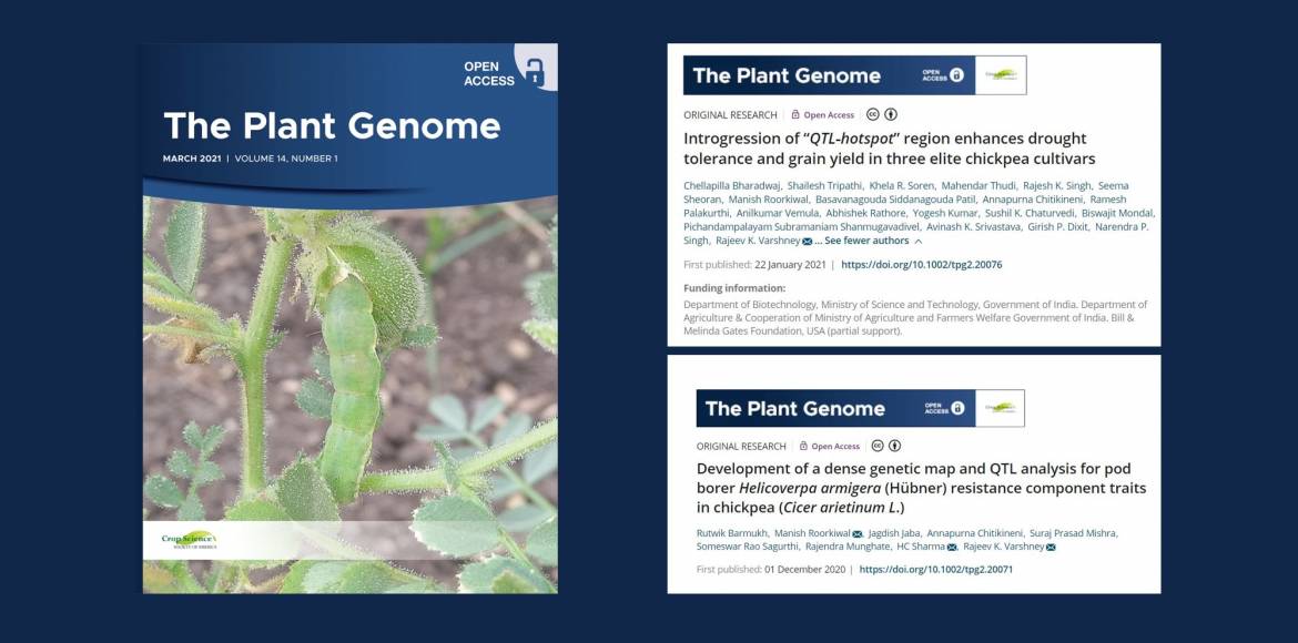 The-Plant-Genome.jpg